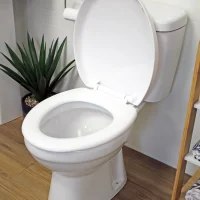 Toilet_Seat